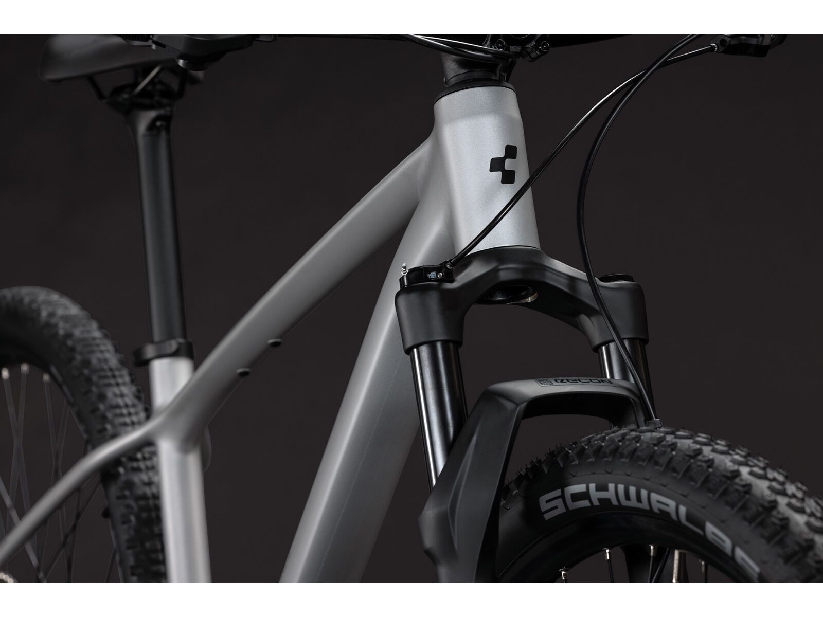 Cube Reaction Pro 29, platinum´n´black - Bild 6