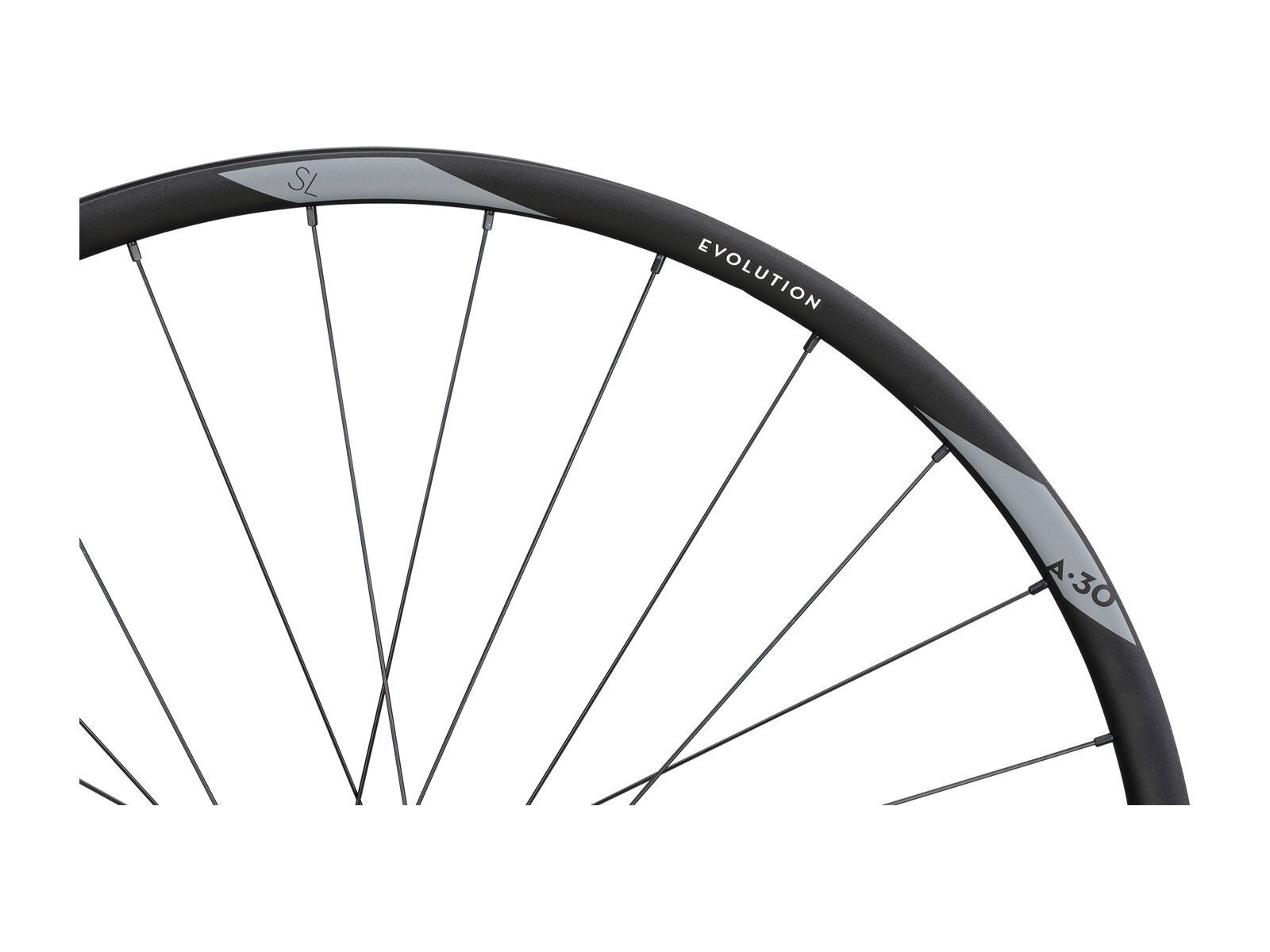 Newmen Evolution SL A.30 6-Loch - 29 / 15x110 mm Boost, black - Bild 4