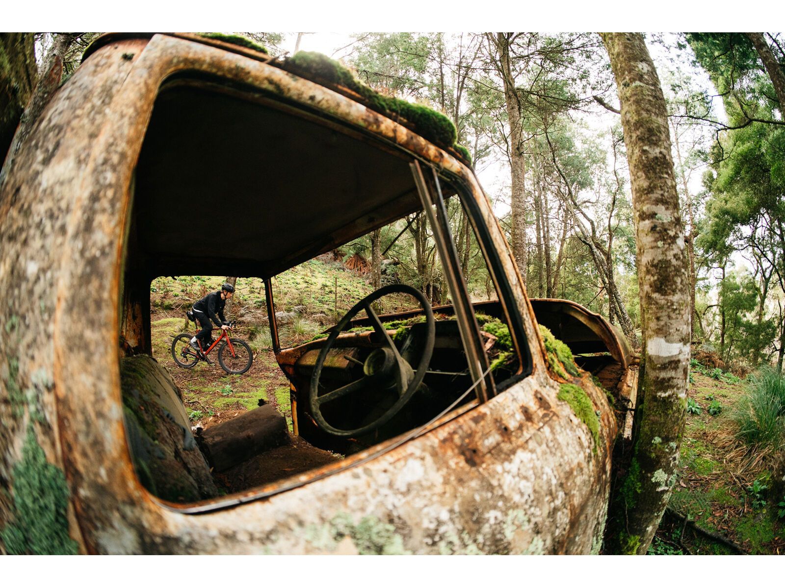 Santa Cruz Stigmata CC / Rival-1x AXS, matte brick red - Bild 23