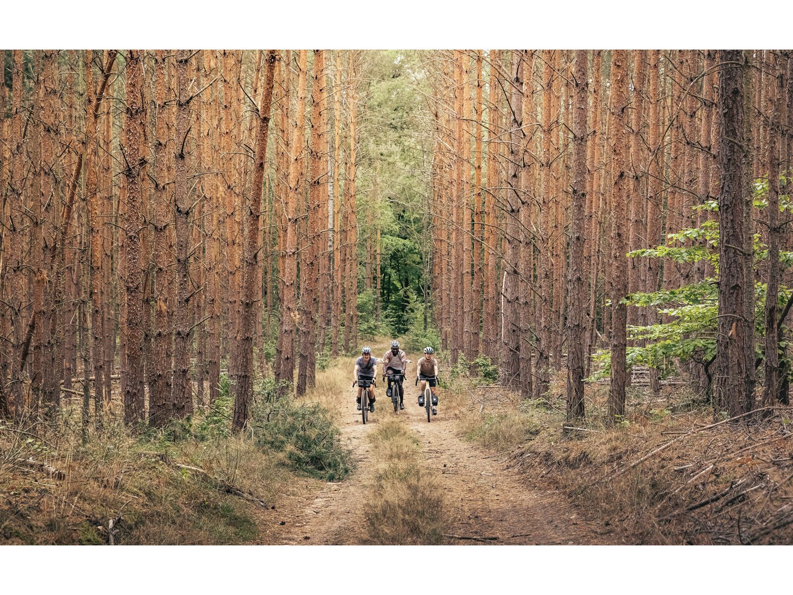 Focus Atlas 8.7, black - Bild 22