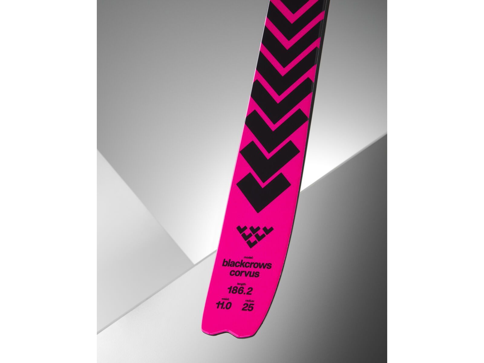 Black Crows Corvus, pink - Bild 5