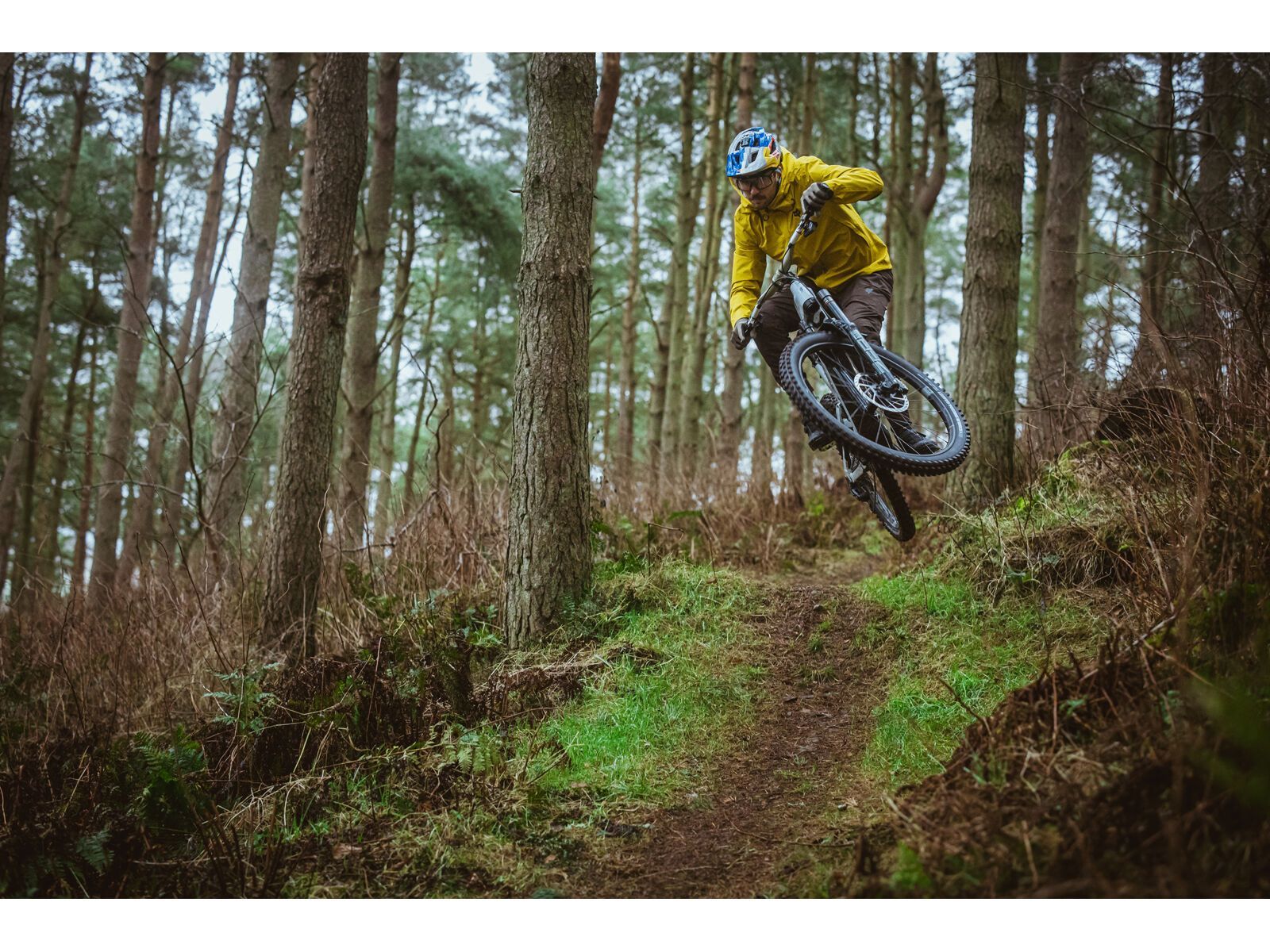 Schwalbe Shredda Front Radial Addix Ultra Soft Gravity Pro - 29 Zoll - Bild 6