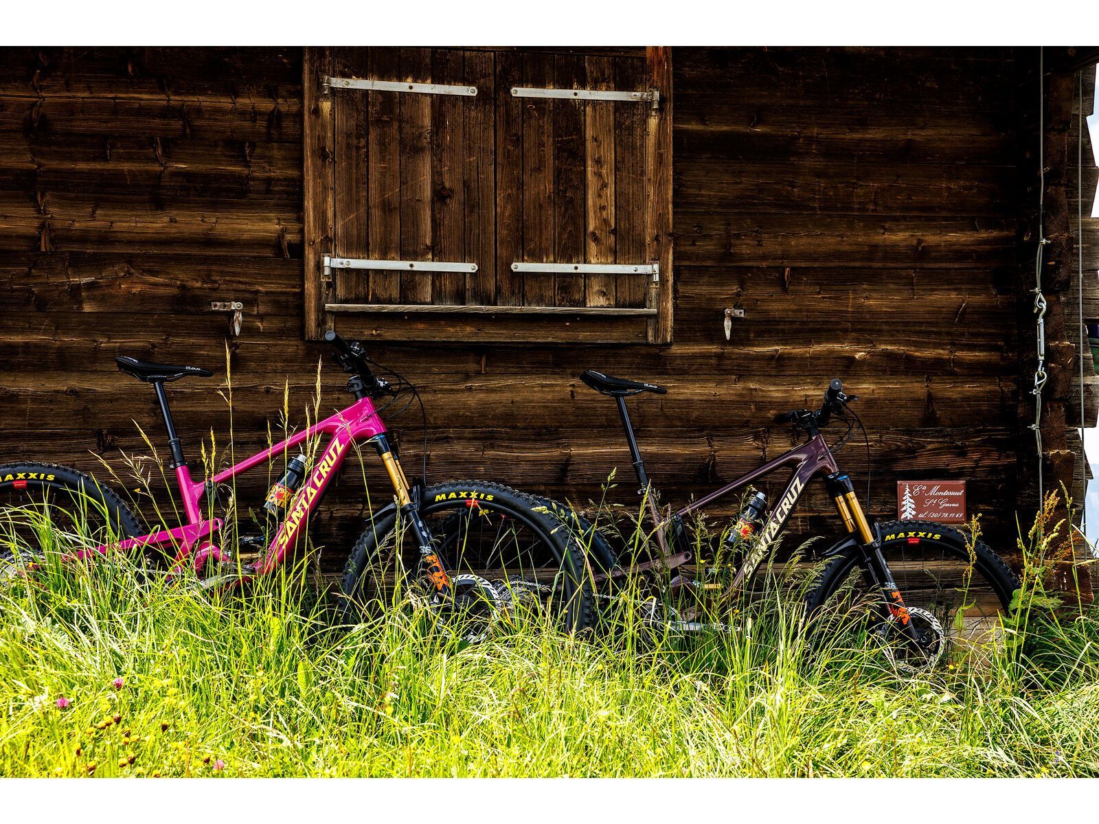 Santa Cruz Bronson C / R / MX, translucent root beer - Bild 9