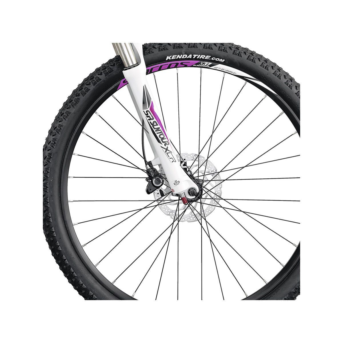 Scott Contessa Scale 730 - Bild 2