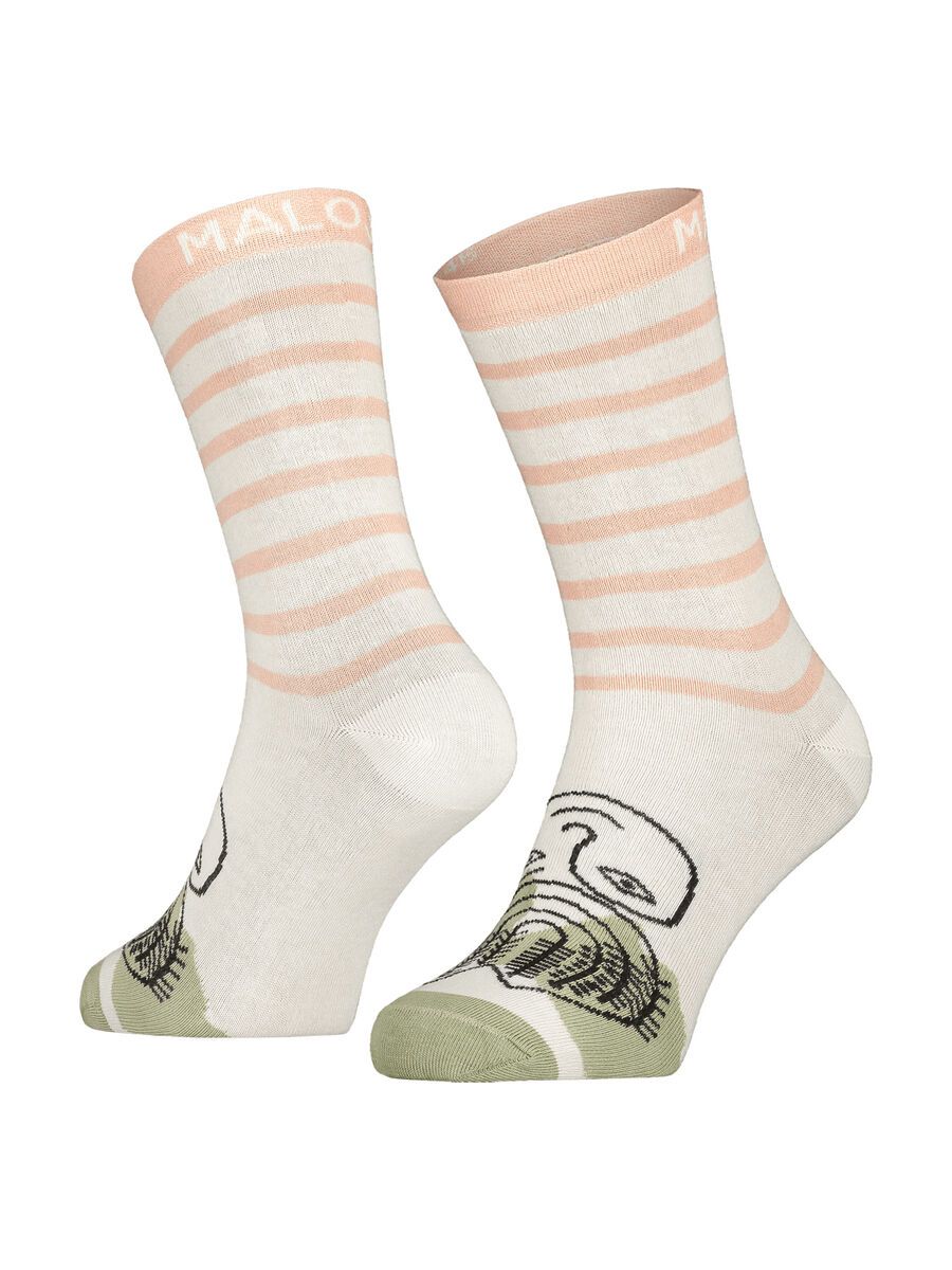 Maloja CarnationM., bloom - Bild 1