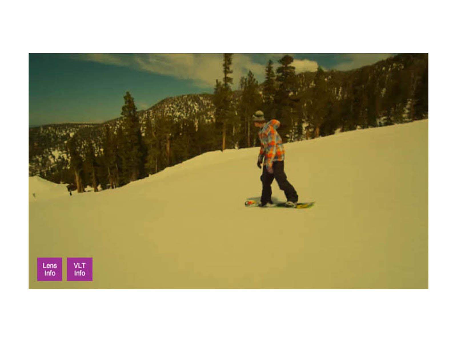 Anon Comrade Printed, Steel Drum/Gold Chrome - Bild 3