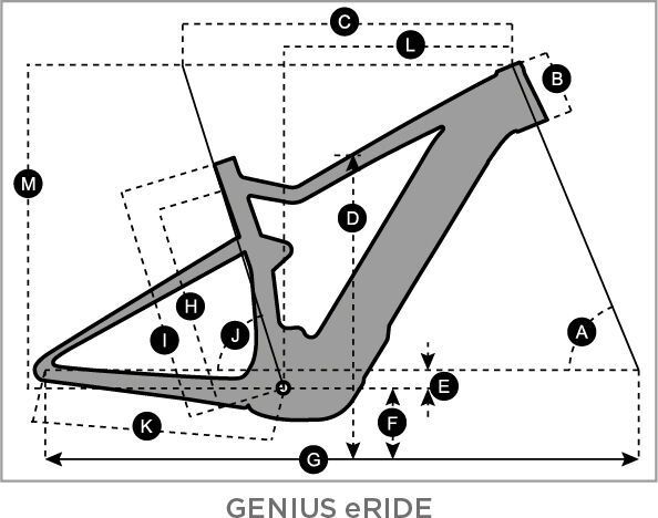 Scott Genius eRide 900, raw carbon/metal brushed - Bild 2