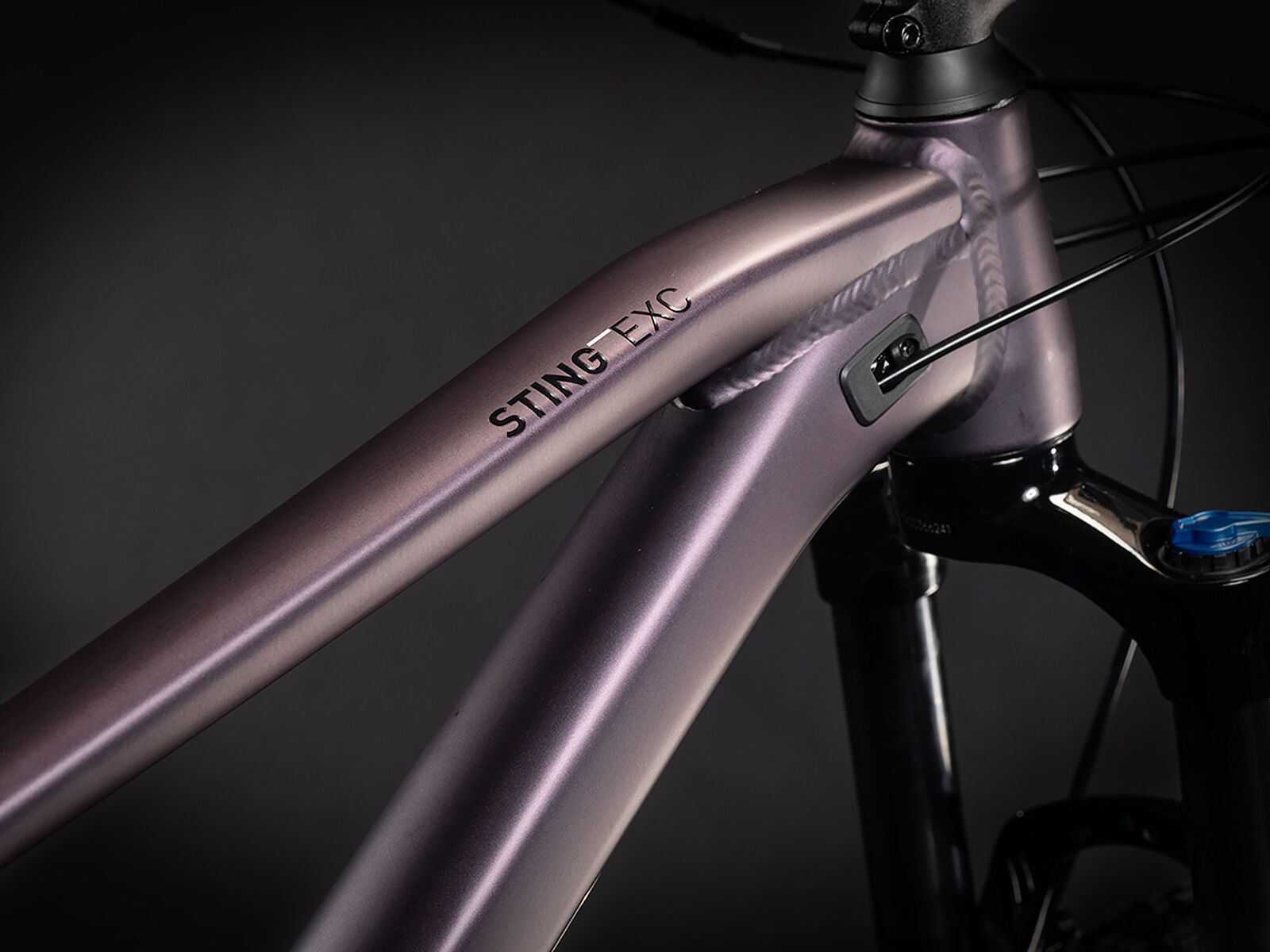 Cube Sting WS 120 EXC 27.5, smokylilac´n´black - Bild 2