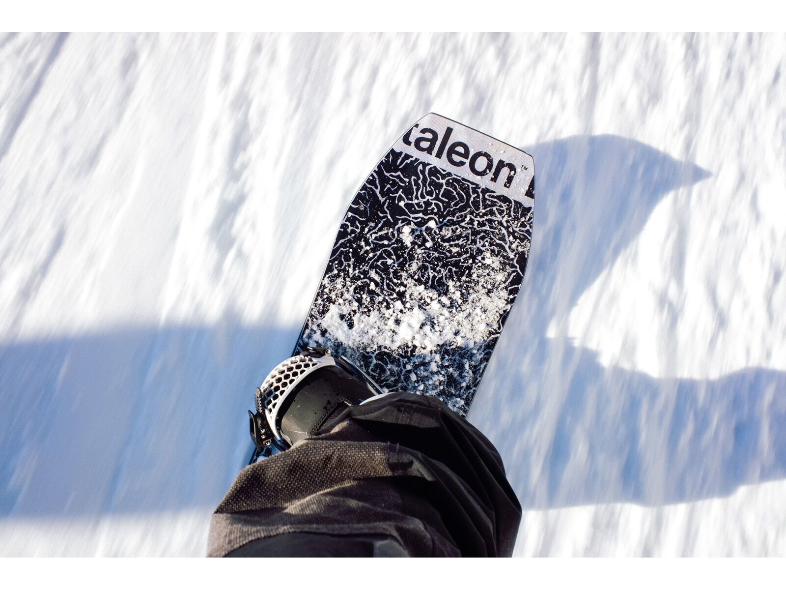 Bataleon Wallie Wide - Bild 13