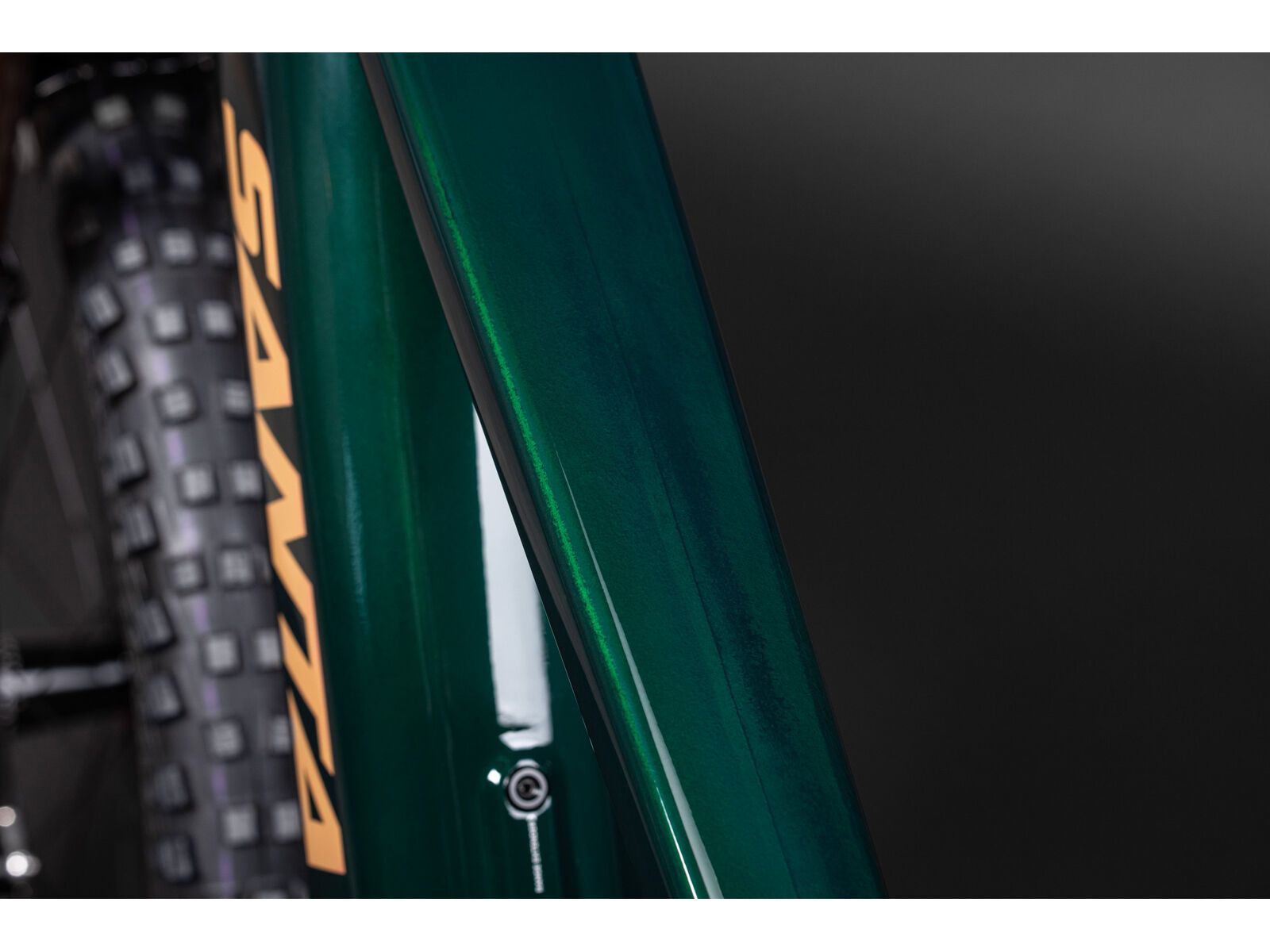 Santa Cruz Vala C / 70 / MX, gloss midnight green - Bild 11