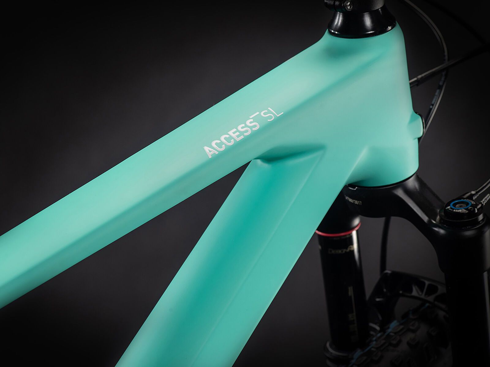 Cube Access WS C:62 SL 29, team ws - Bild 2