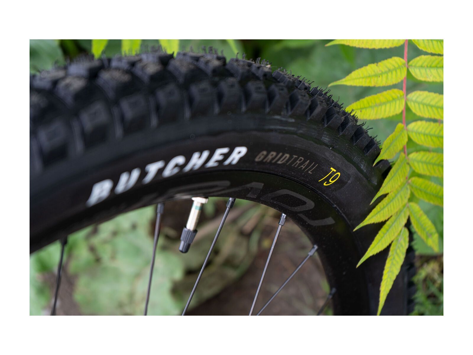 Specialized Butcher Grid Trail 2Bliss Ready T9 - 29 Zoll - Bild 4