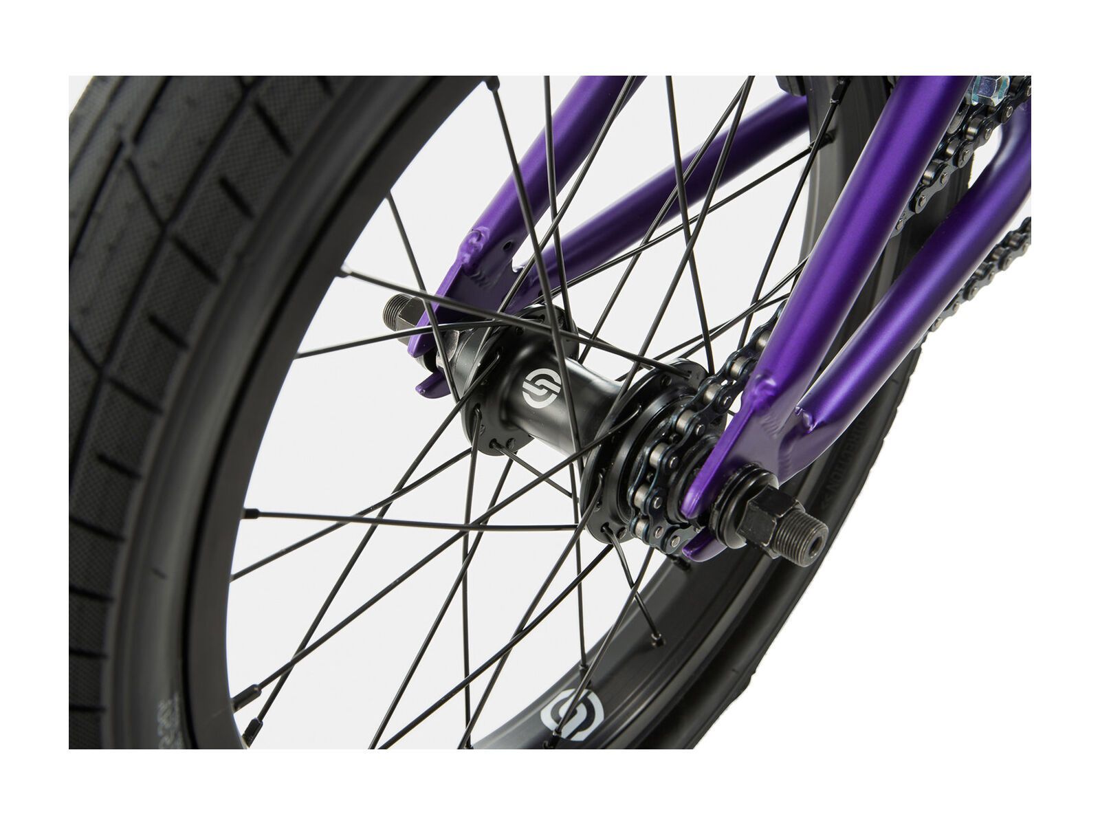 WeThePeople Seed 16, purple - Bild 10