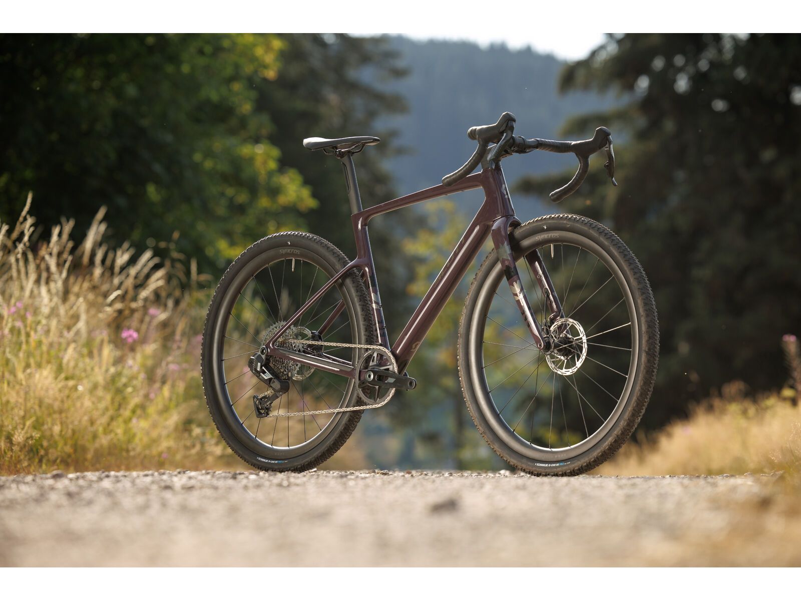 Scott Addict Gravel 30, mulberry purple - Bild 21