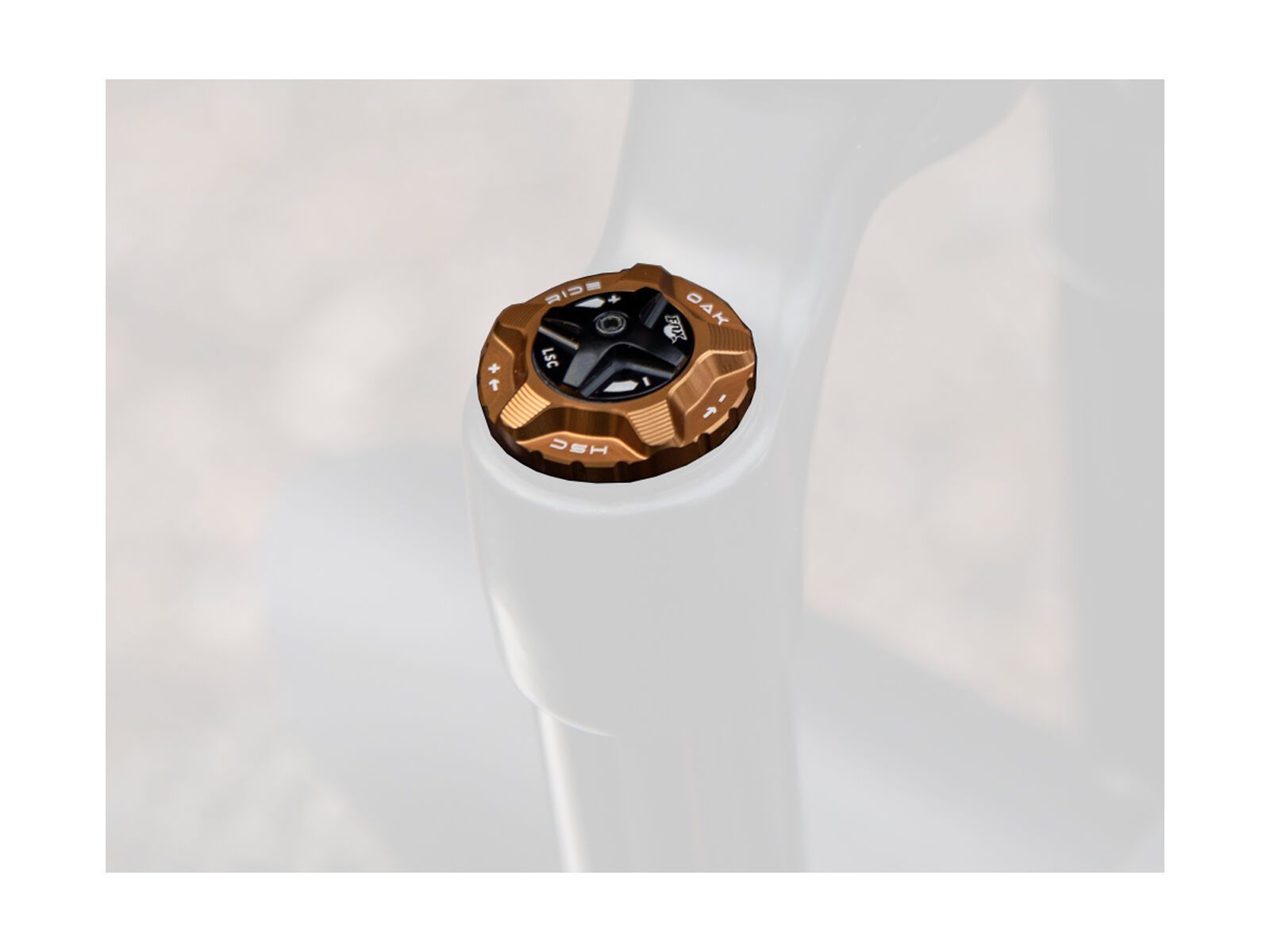 OAK Components Forkcap HSC für Fox 34, 36, 38, 40, kashgold - Bild 1