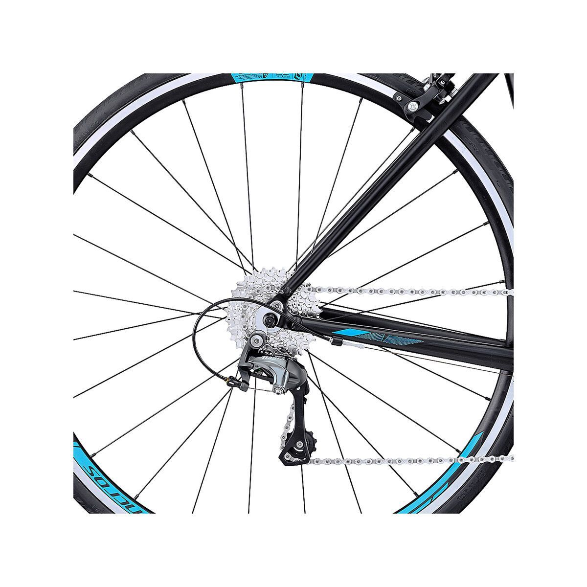 Scott Contessa Speedster 25, black/blue - Bild 4