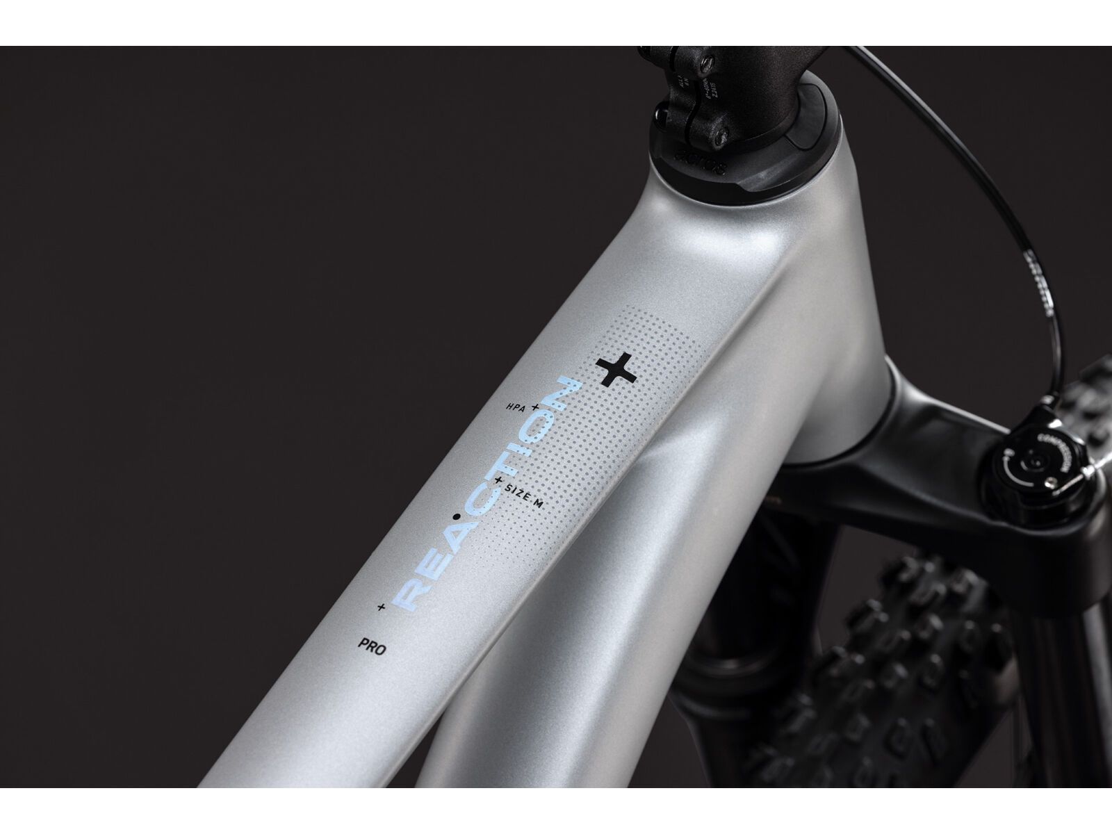 Cube Reaction Pro 29, platinum´n´black - Bild 2