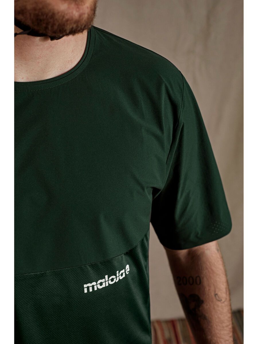 Maloja NospitzM., deep forest - Bild 7