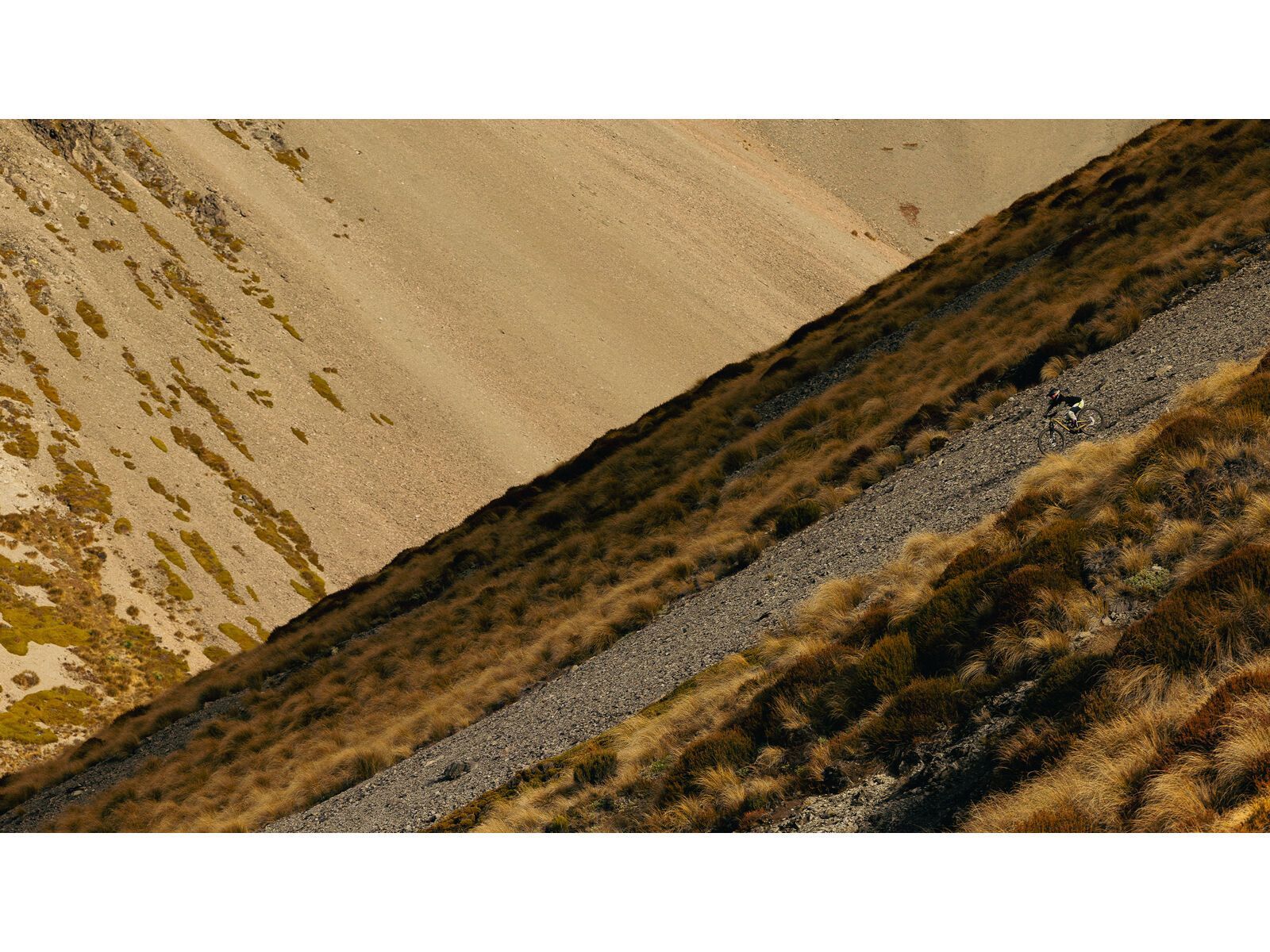 Specialized Status 2 170 DH, metallic spruce/purple haze - Bild 9