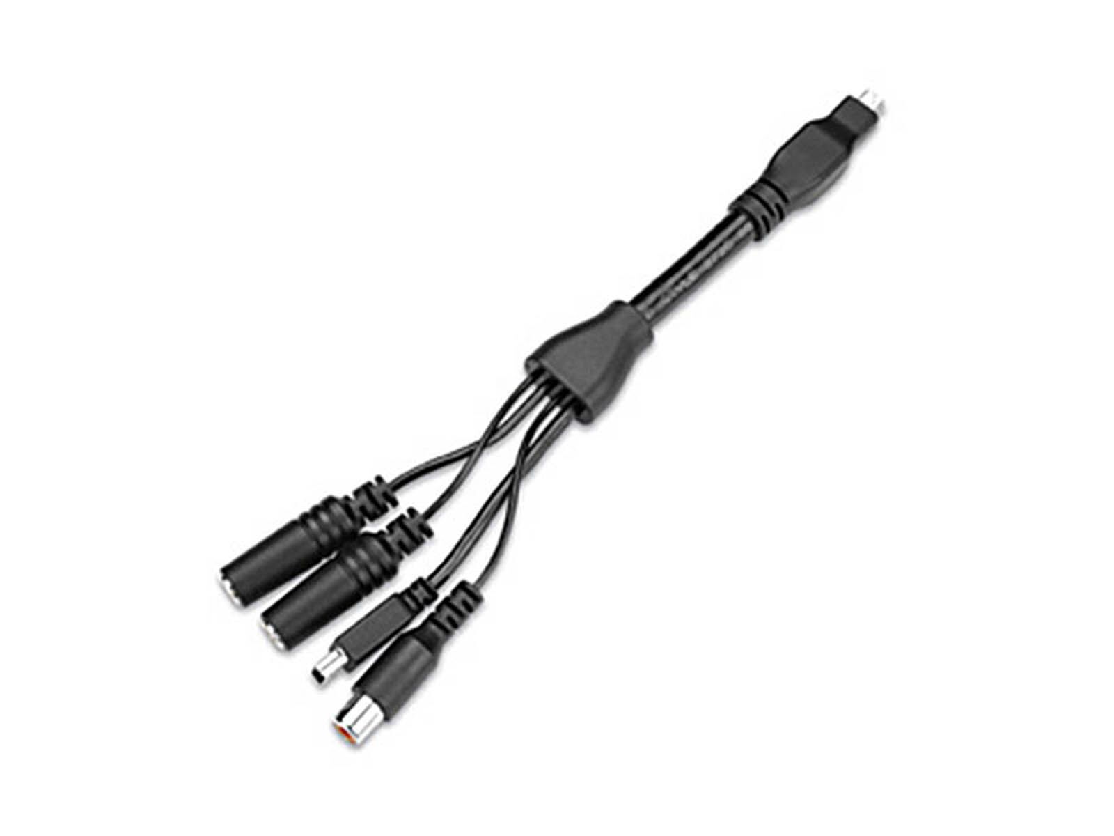 Garmin VIRB Mini-USB Audio-Video Kabel - Bild 1