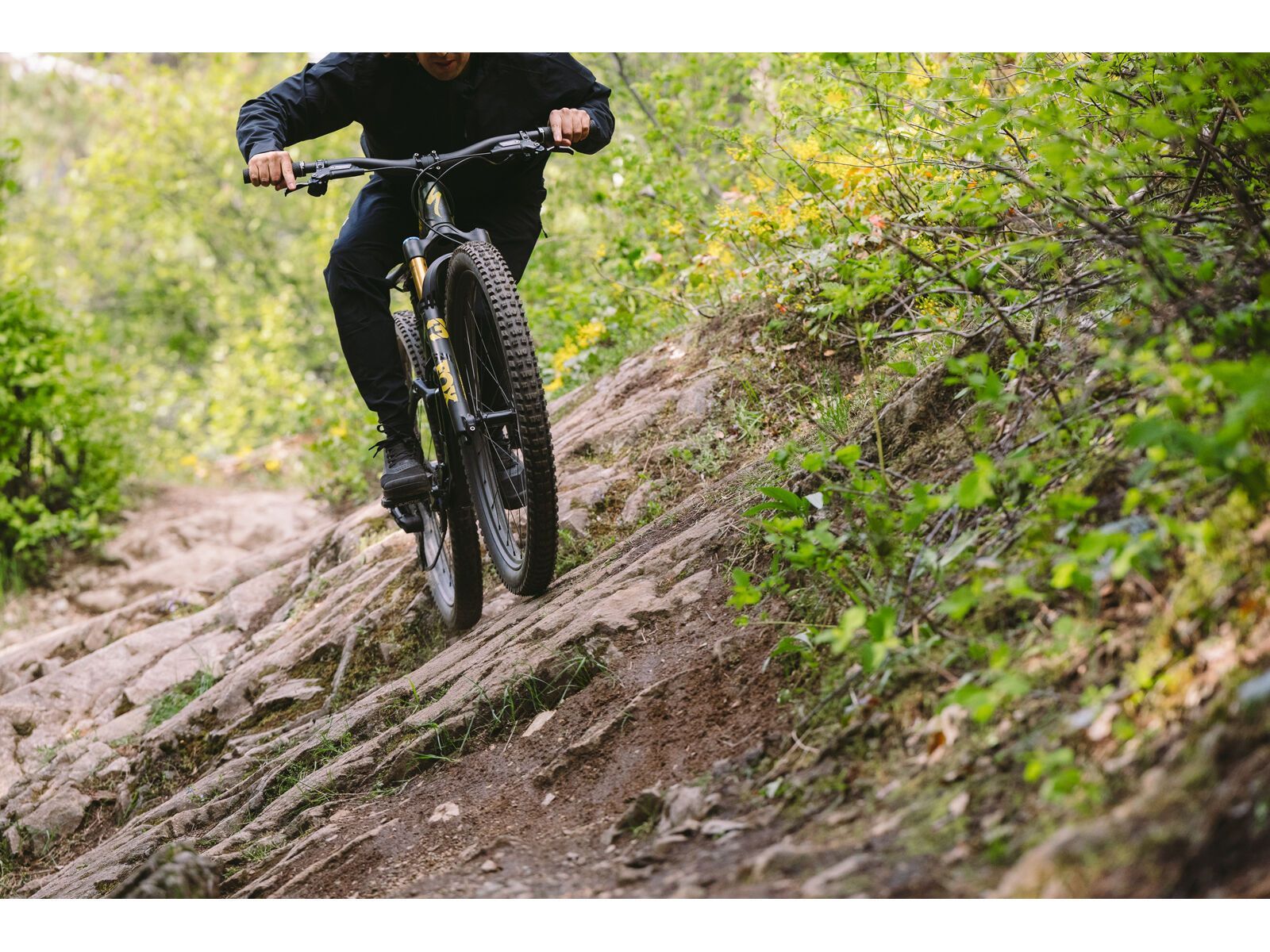 Specialized Stumpjumper 15 Pro - 29/29, satin green tint/gunmetal/satin metallic sulphur - Bild 15