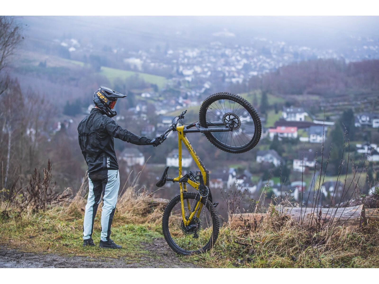 SCIU Aspen, moss yellow - Bild 20