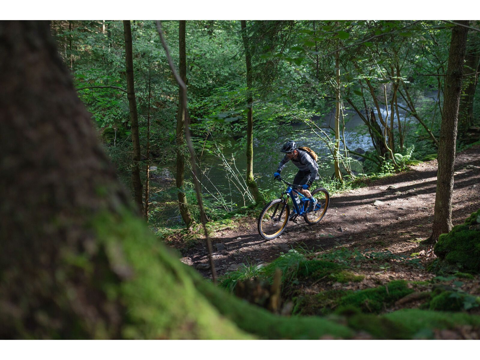 Cube Stereo 120 HPC EX 29, metalblue´n´blue - Bild 12