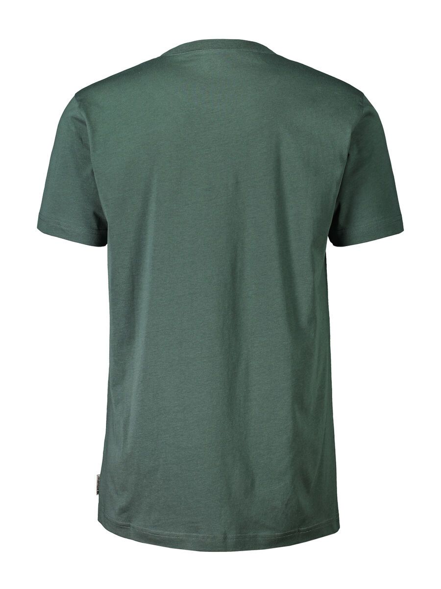 Maloja NeirM., forest glade - Bild 2