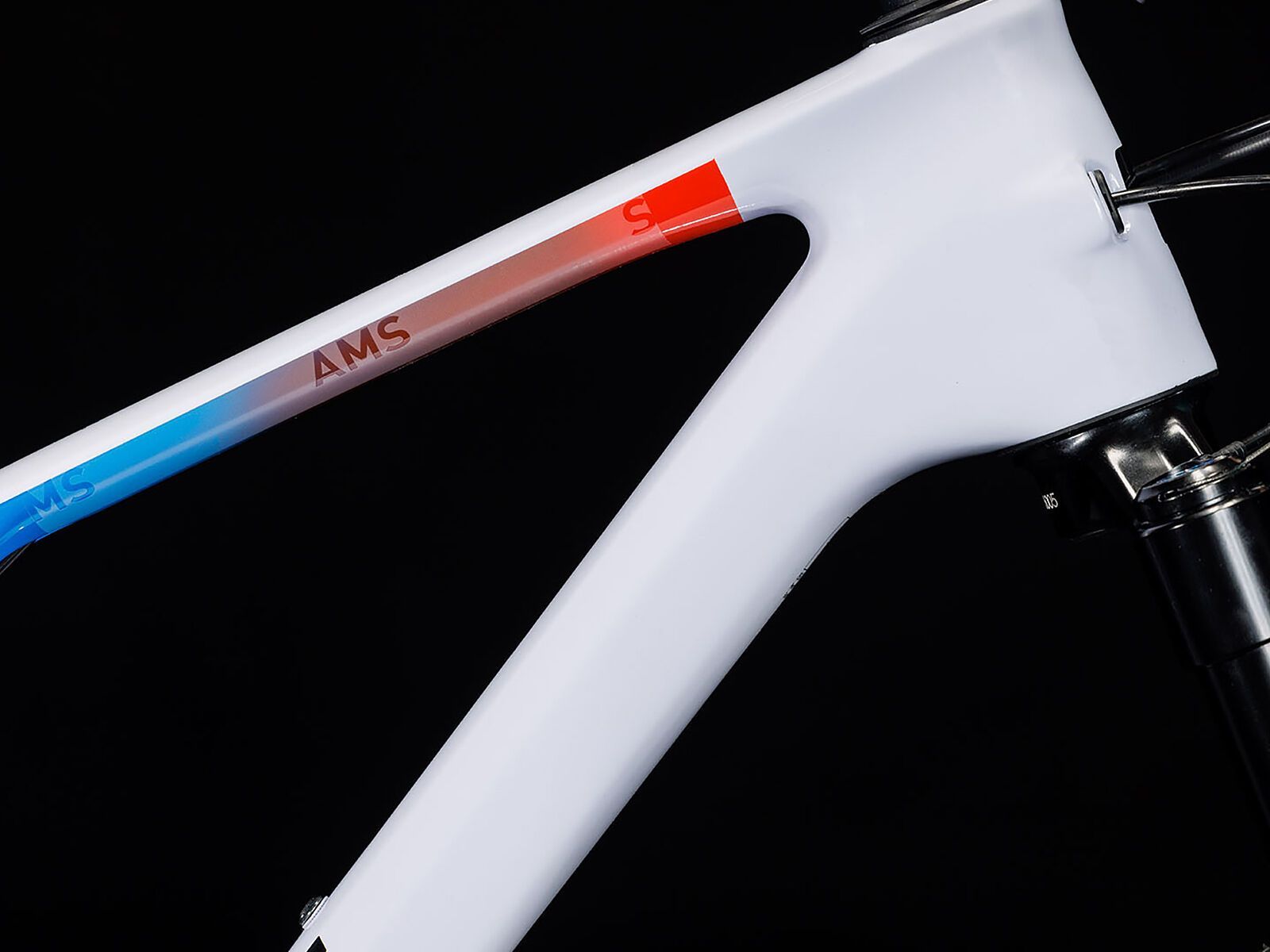 Cube AMS ZERO99 C:68X SL 29, teamline - Bild 4