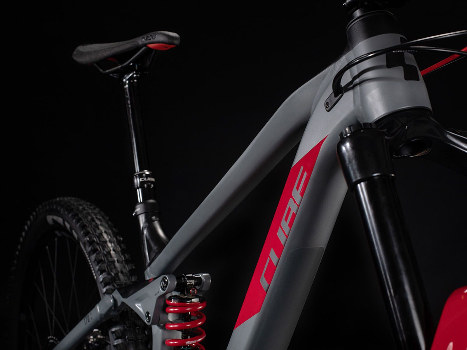 Cube Stereo 170 TM 29, grey´n´red - Bild 2