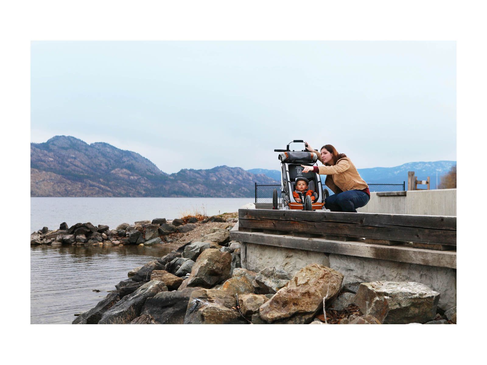 Chariot CX1, 2012, grau/kupfer/silber - Bild 3