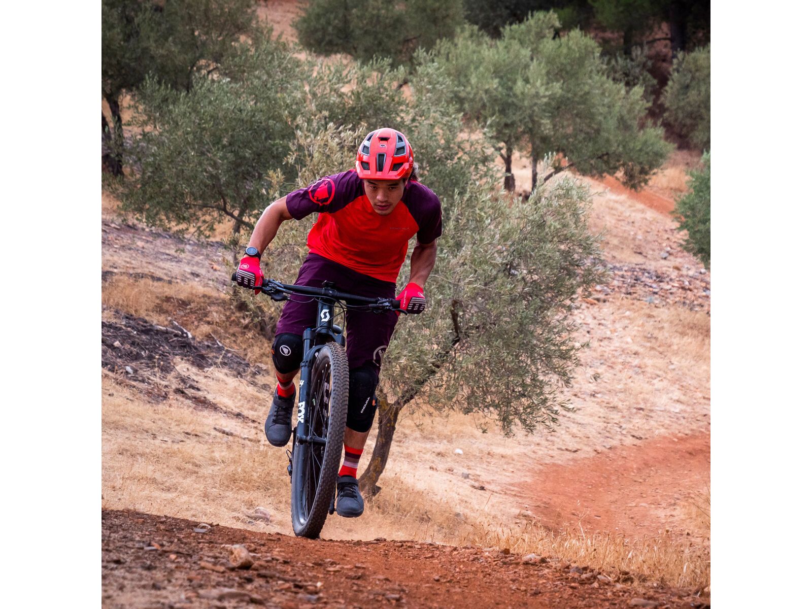 Endura SingleTrack Kurzarmtrikot, granatapfel - Bild 9