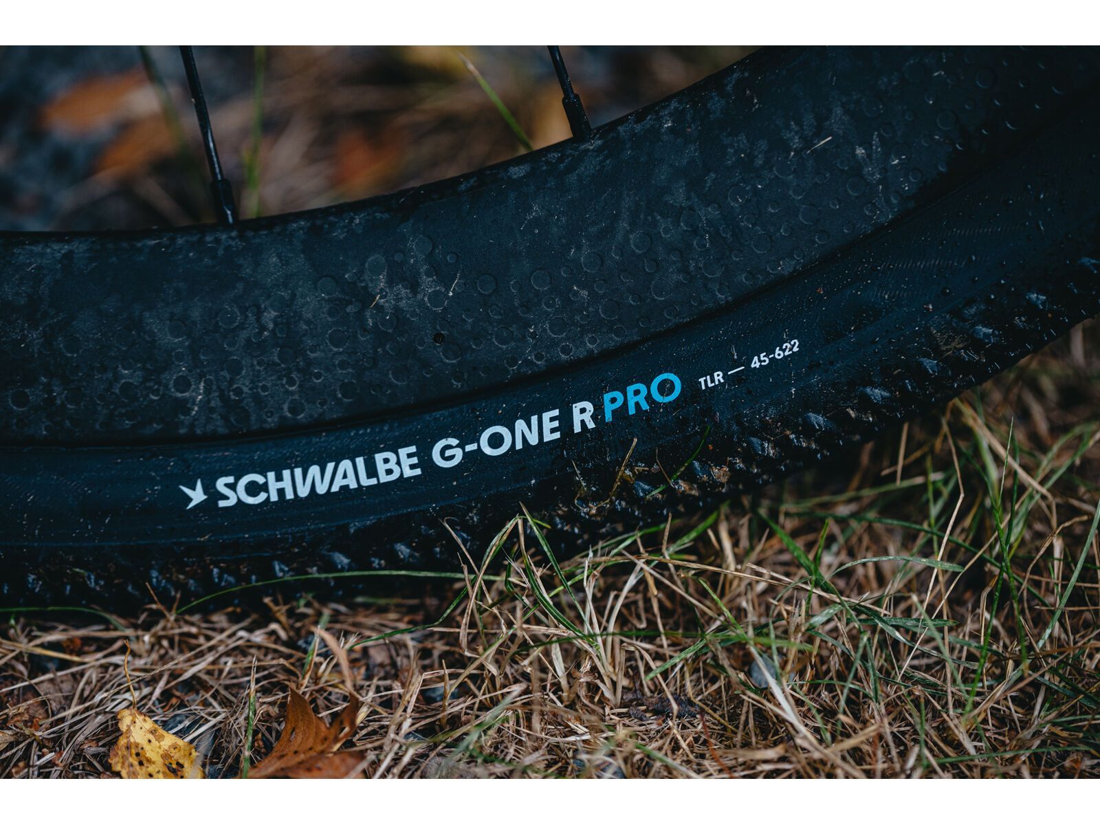 Schwalbe G-One R Pro Addix Race / Race Pro V-Guard - 700C - Bild 11