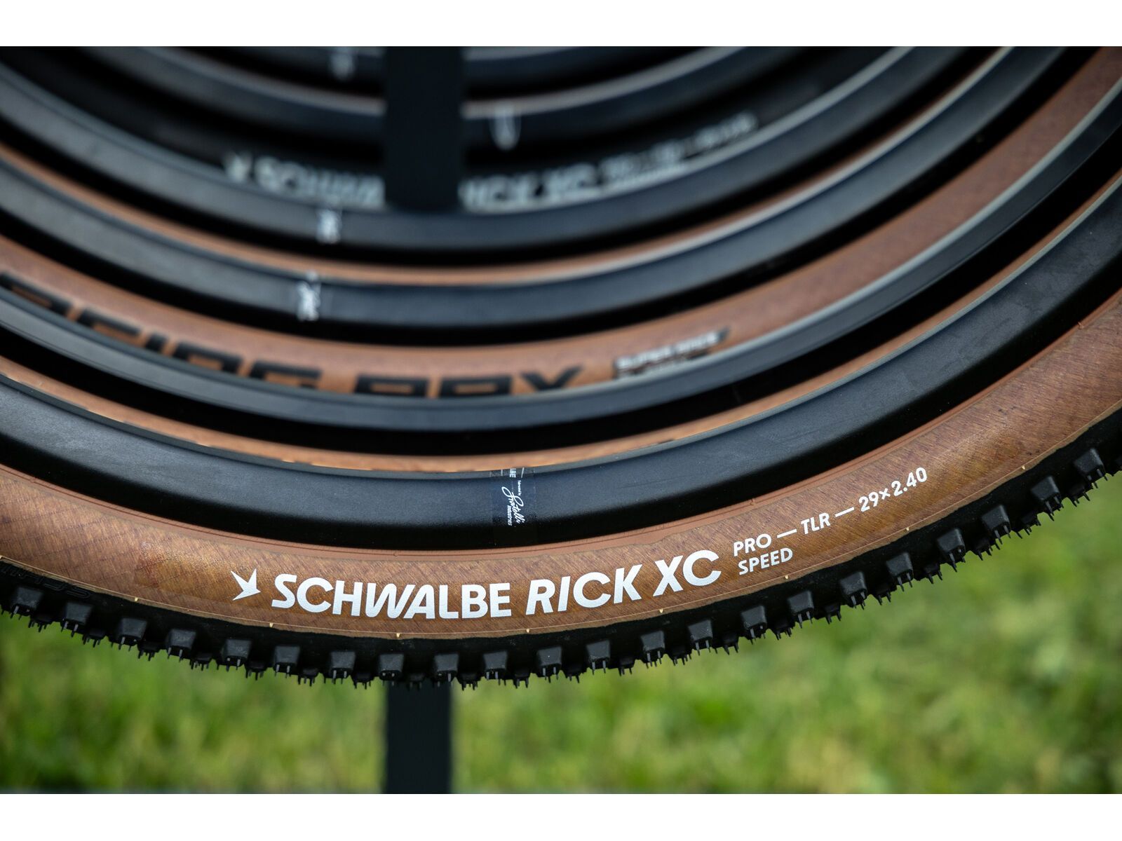 Schwalbe Rick XC Pro Evo Addix Speed TLR - 29 Zoll, transp. sidewall - Bild 4