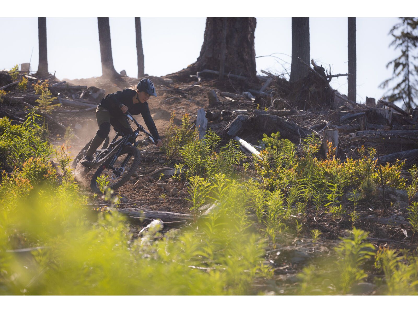 Santa Cruz Nomad C / 90 / MX, matte black - Bild 13