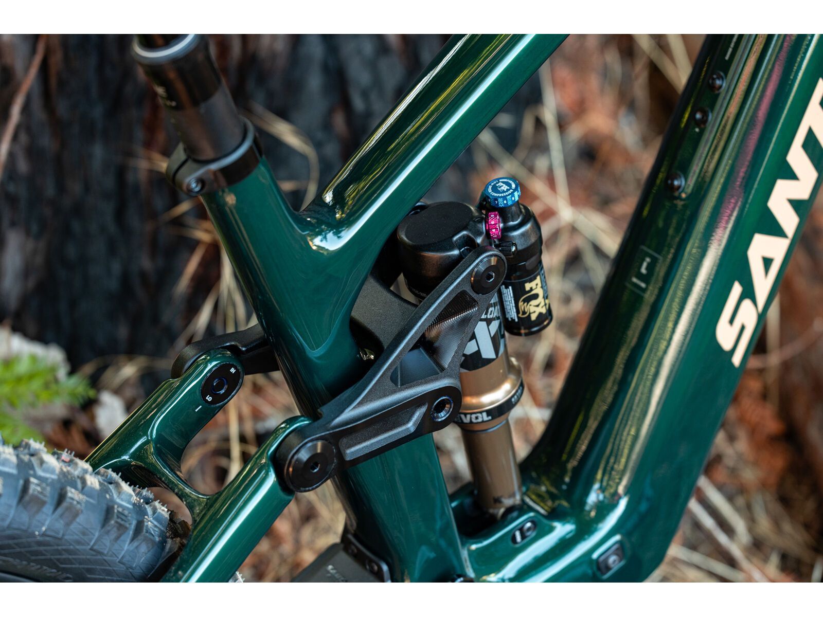 Santa Cruz Vala C / 70 / MX, gloss midnight green - Bild 24