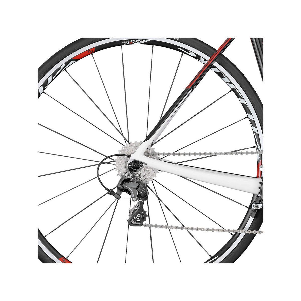 Scott Solace 20 - Bild 4