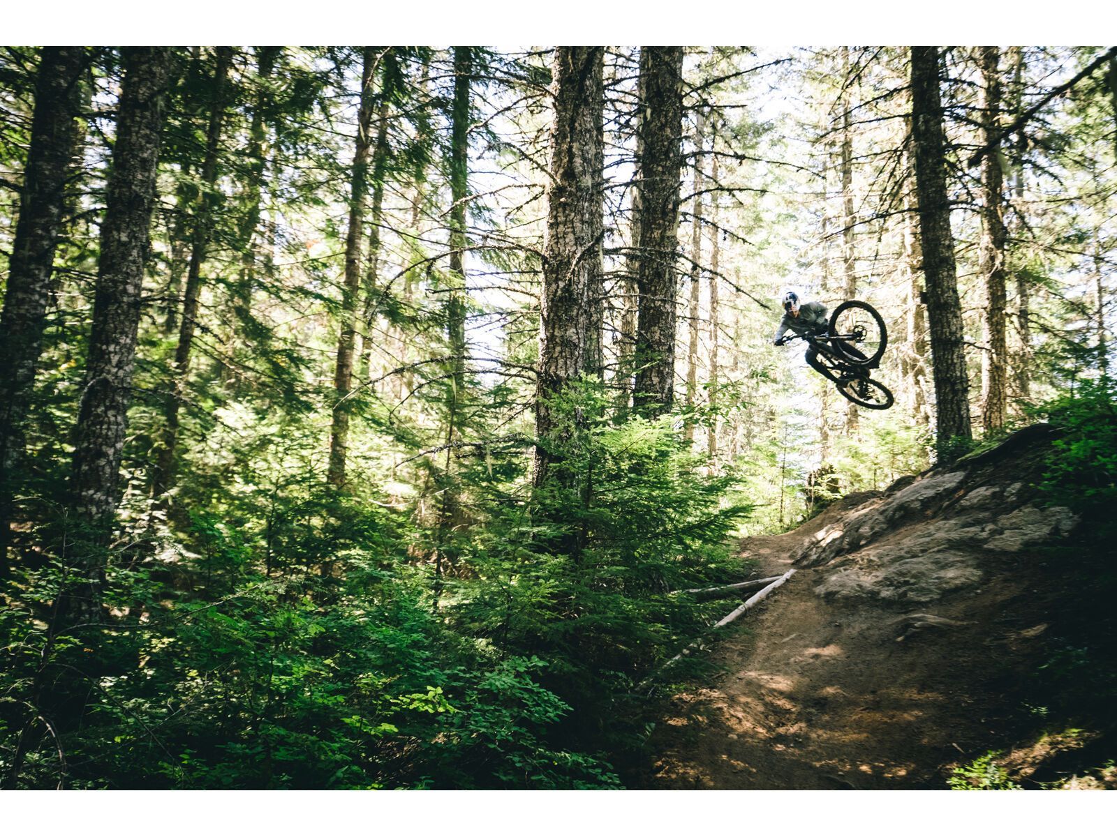 Santa Cruz Vala C / GX AXS / MX, gloss grey - Bild 12