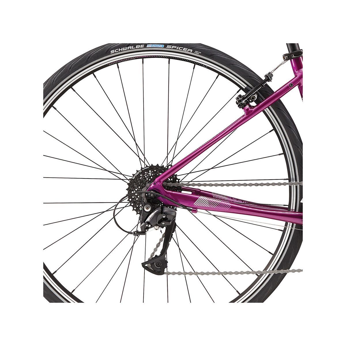 Cannondale Quick 6 Women's, road purple w/ primer and orchid, reflective detail, gloss - PUR - Bild 4