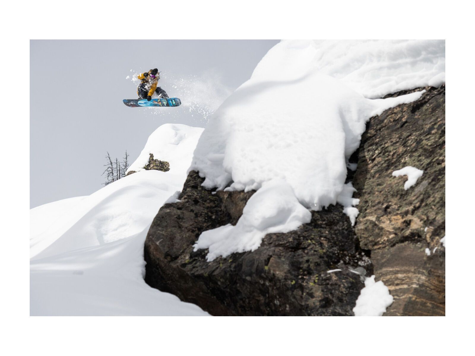 Lib Tech Golden Orca - Bild 6