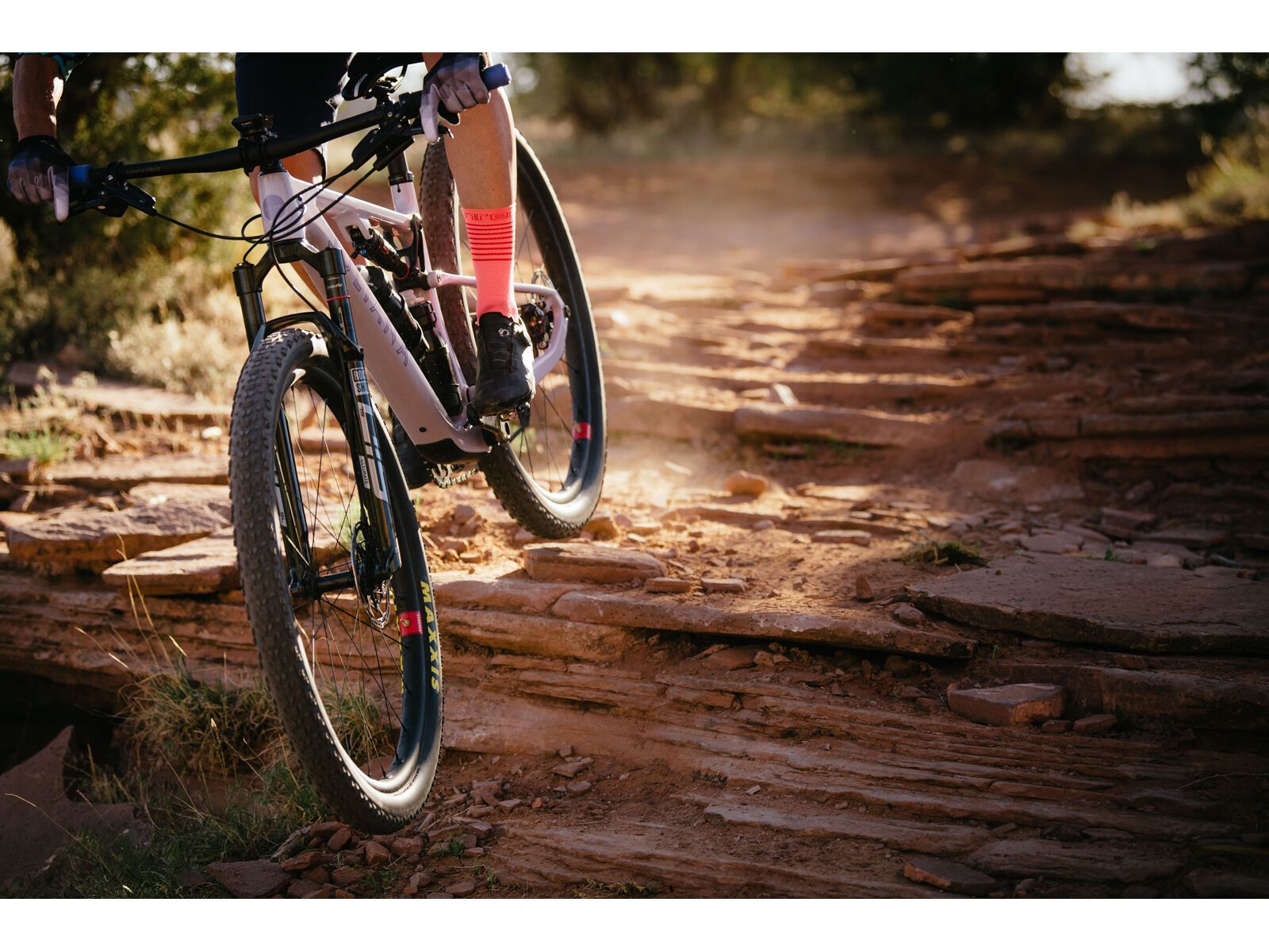 Juliana Wilder C / R / TR / 29, purple sweetness / lavender - Bild 24