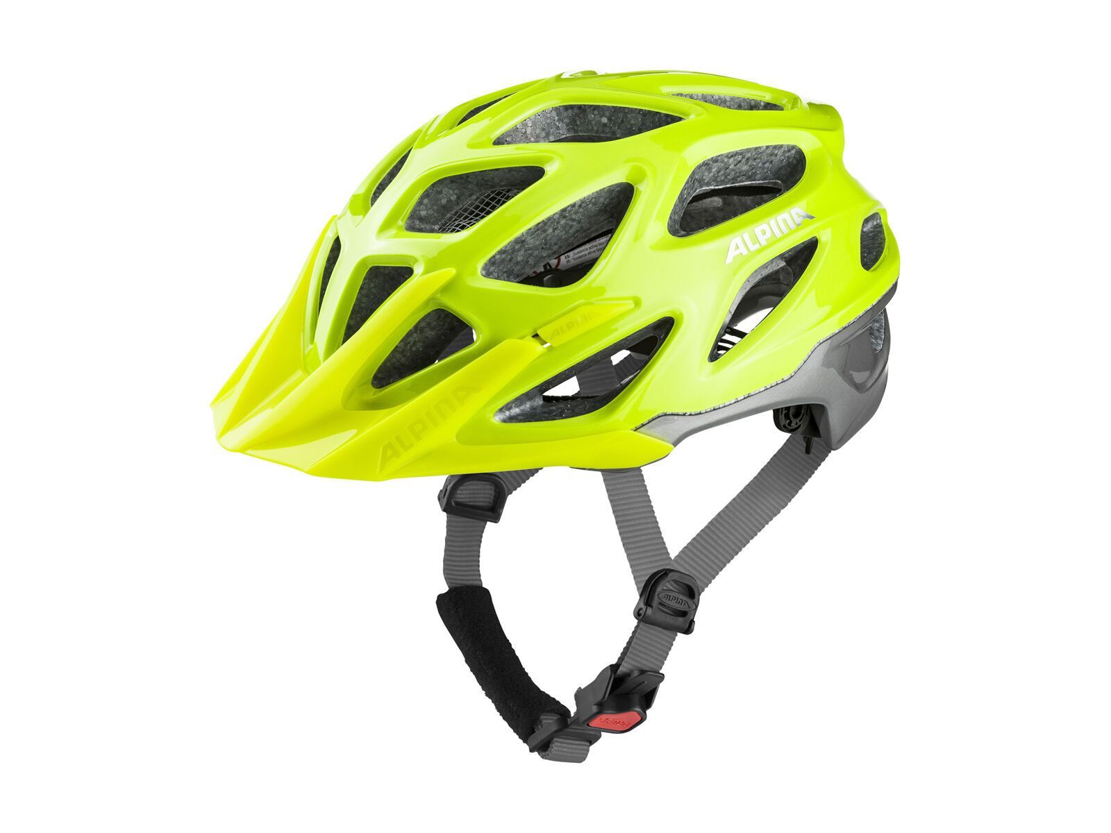 Alpina Mythos 3.0, be visible-silver - Bild 1