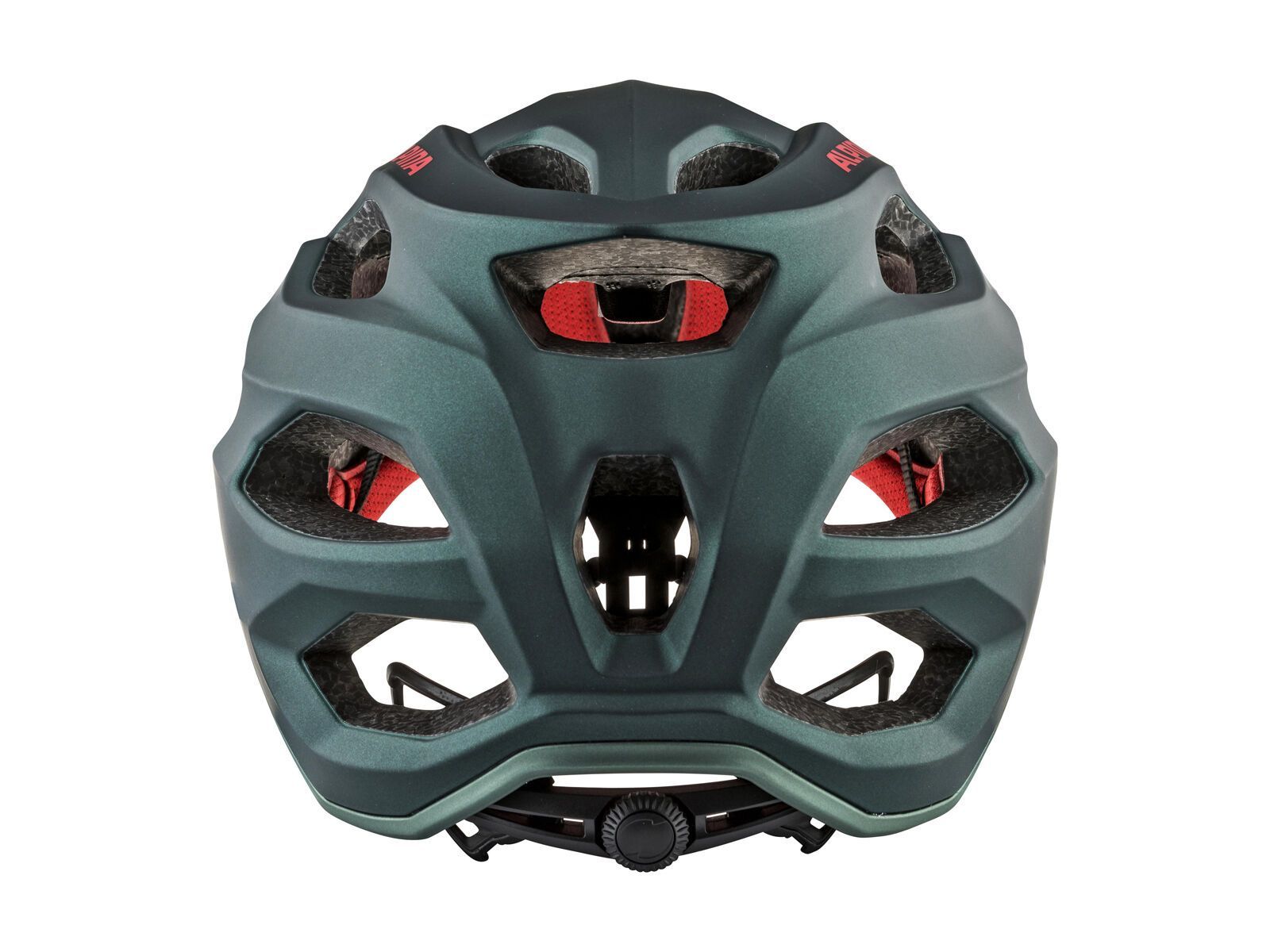 Alpina Carapax 2.0, seamoss - Bild 4