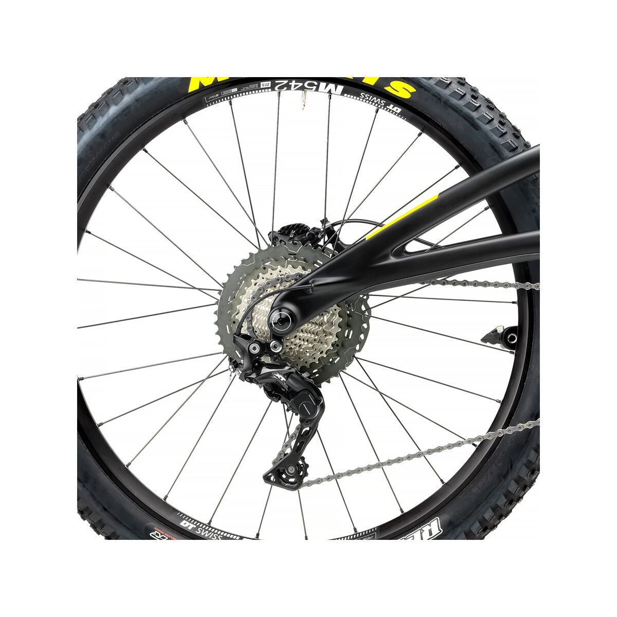 Yeti SB5+ C-Series, raw/turquoise - Bild 5