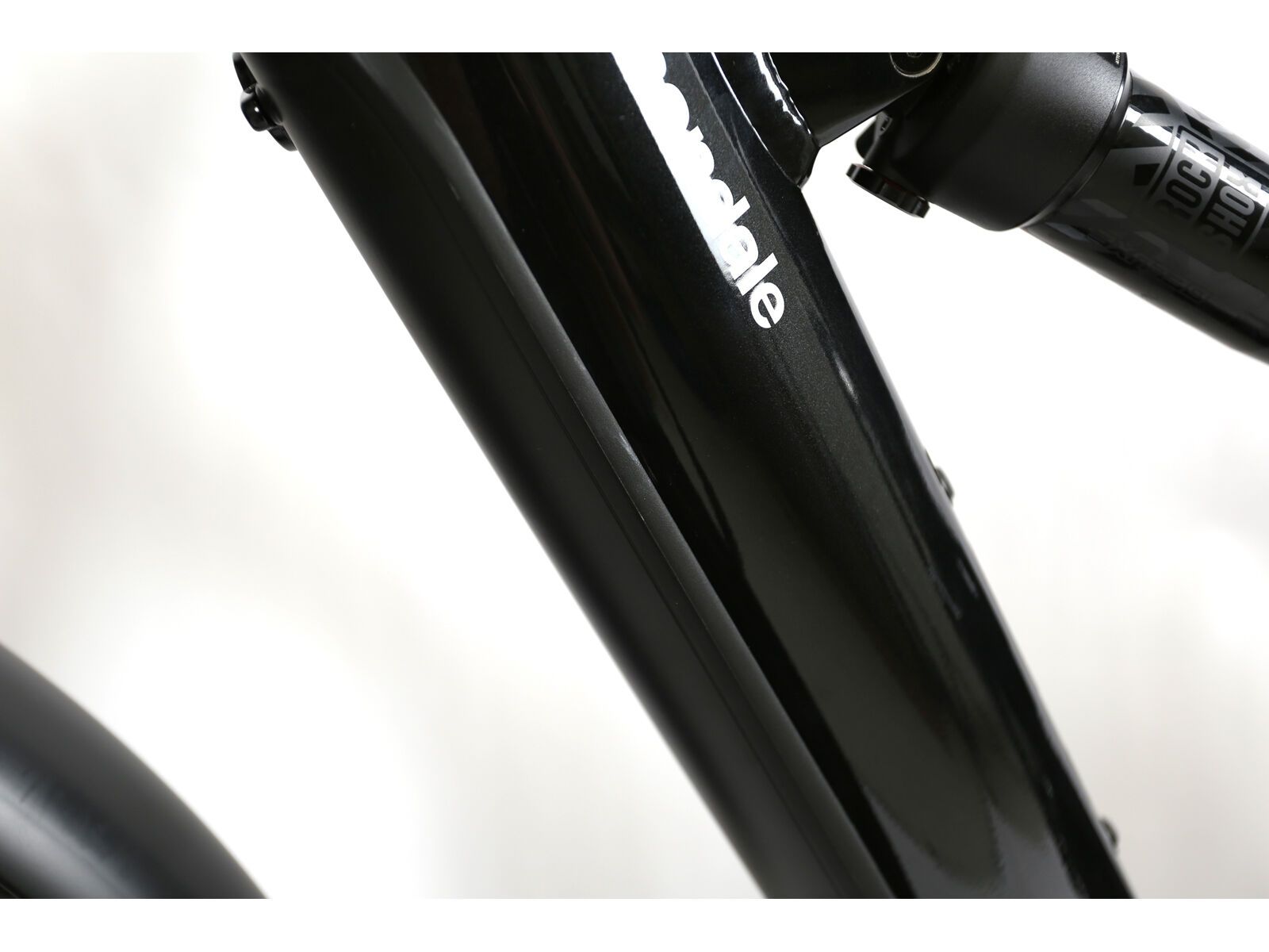 ***2. Wahl*** Cannondale Moterra EQ black pearl - Bild 4
