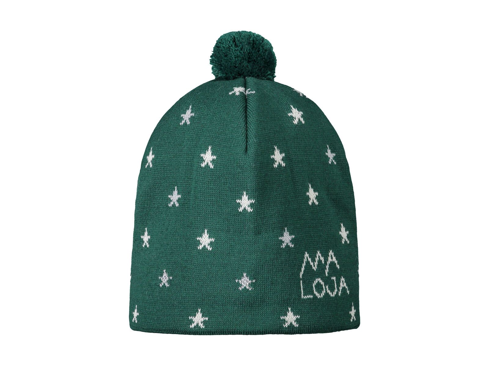 Maloja PromulinsM., forest glade - Bild 1