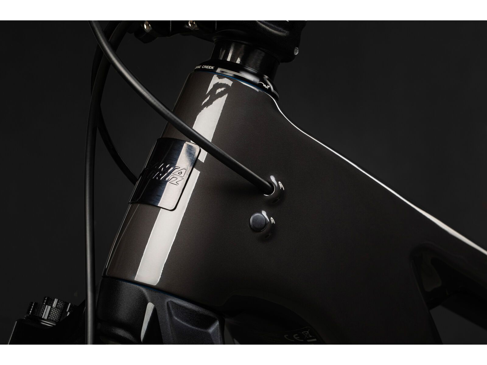 Santa Cruz Bullit CC / X01 / MX, gloss carbon - Bild 2