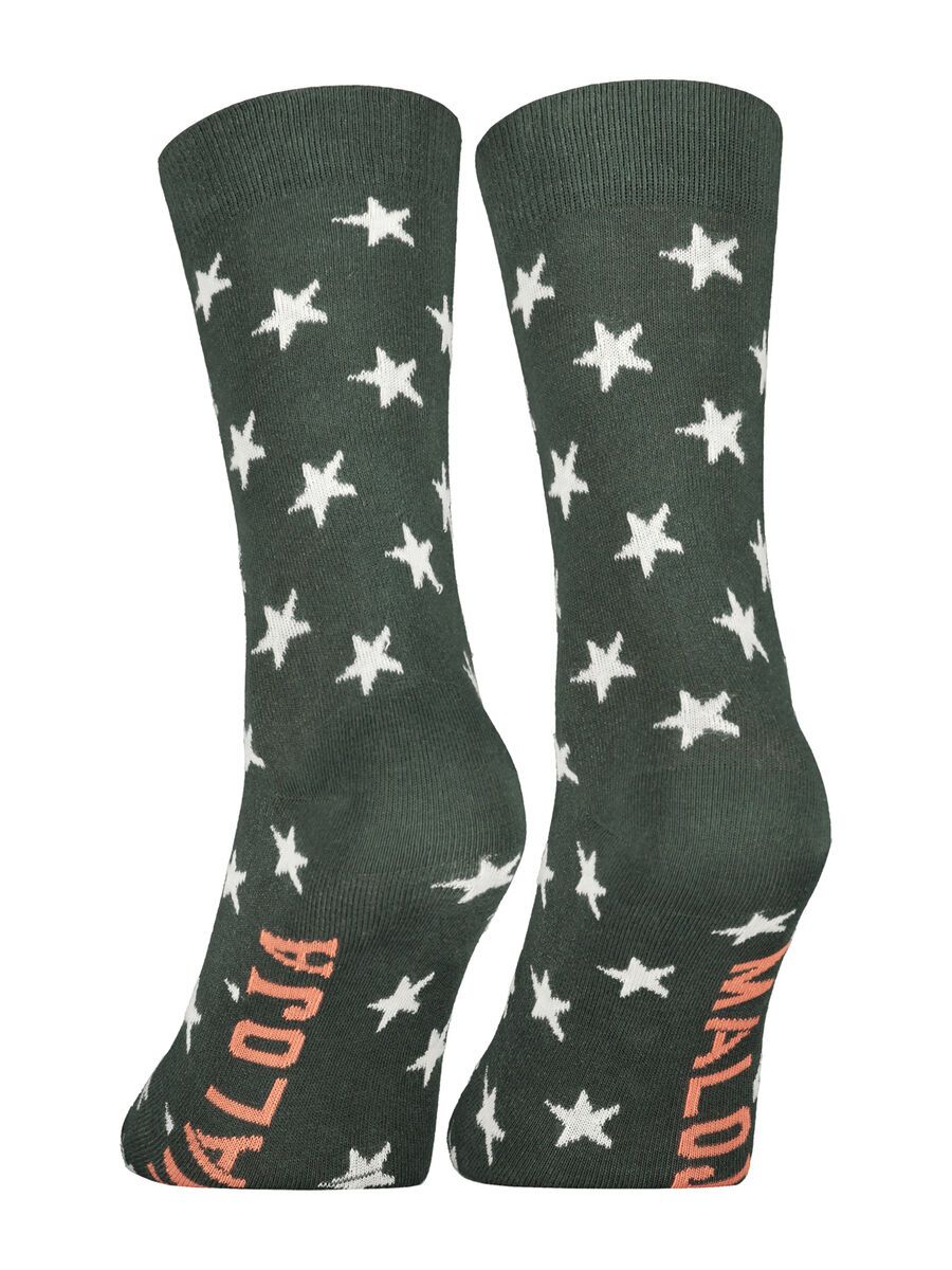 Maloja HedenbraunelleM., deep forest - Bild 1