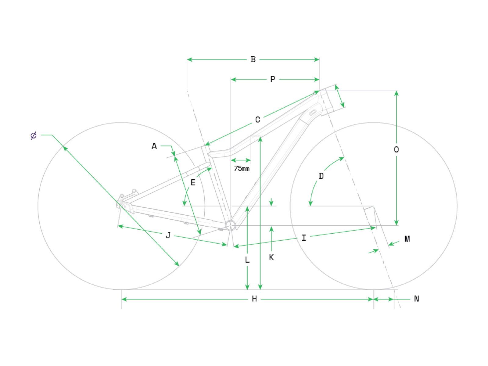 Cannondale Kids Trail Plus 24, mantis - Bild 11