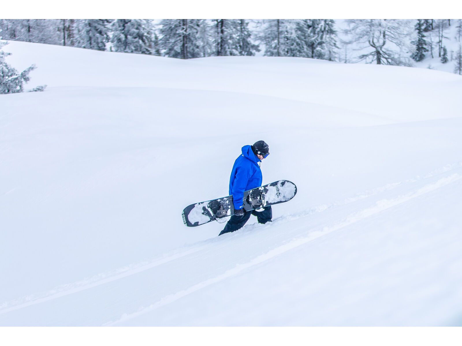 Bataleon Beyond Medals - Bild 8